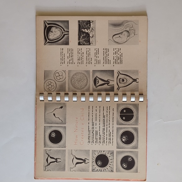 Lady in Waiting: a Journal for Expectant Mothers - 1959 - Picture 6 of 16